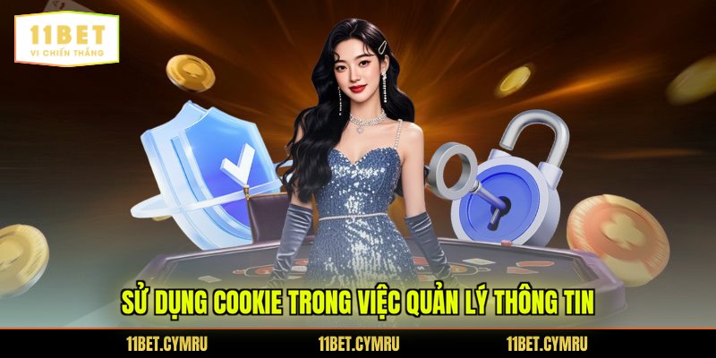 Sử dụng cookie trong việc quản lý thông tin
